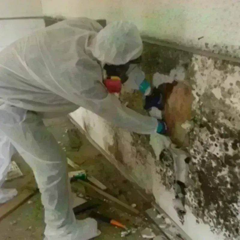 Mold Remediation and Removal in Marriott-Slaterville, UT